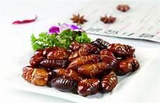 金蝉吃什么东西长大的