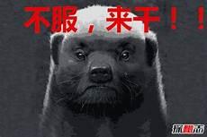 最讨厌的男明星