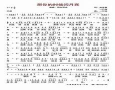 想你的时候问月亮词谱