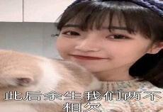 真千金的满天星txt百度云