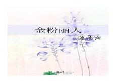 金粉丽人txt