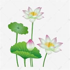 荷花的图片手绘图片