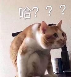 都给我下去下一轮才轮到你们