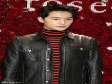杨洋合作过的女星