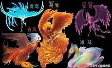 凤育九雏都是女的吗