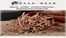 中药远志